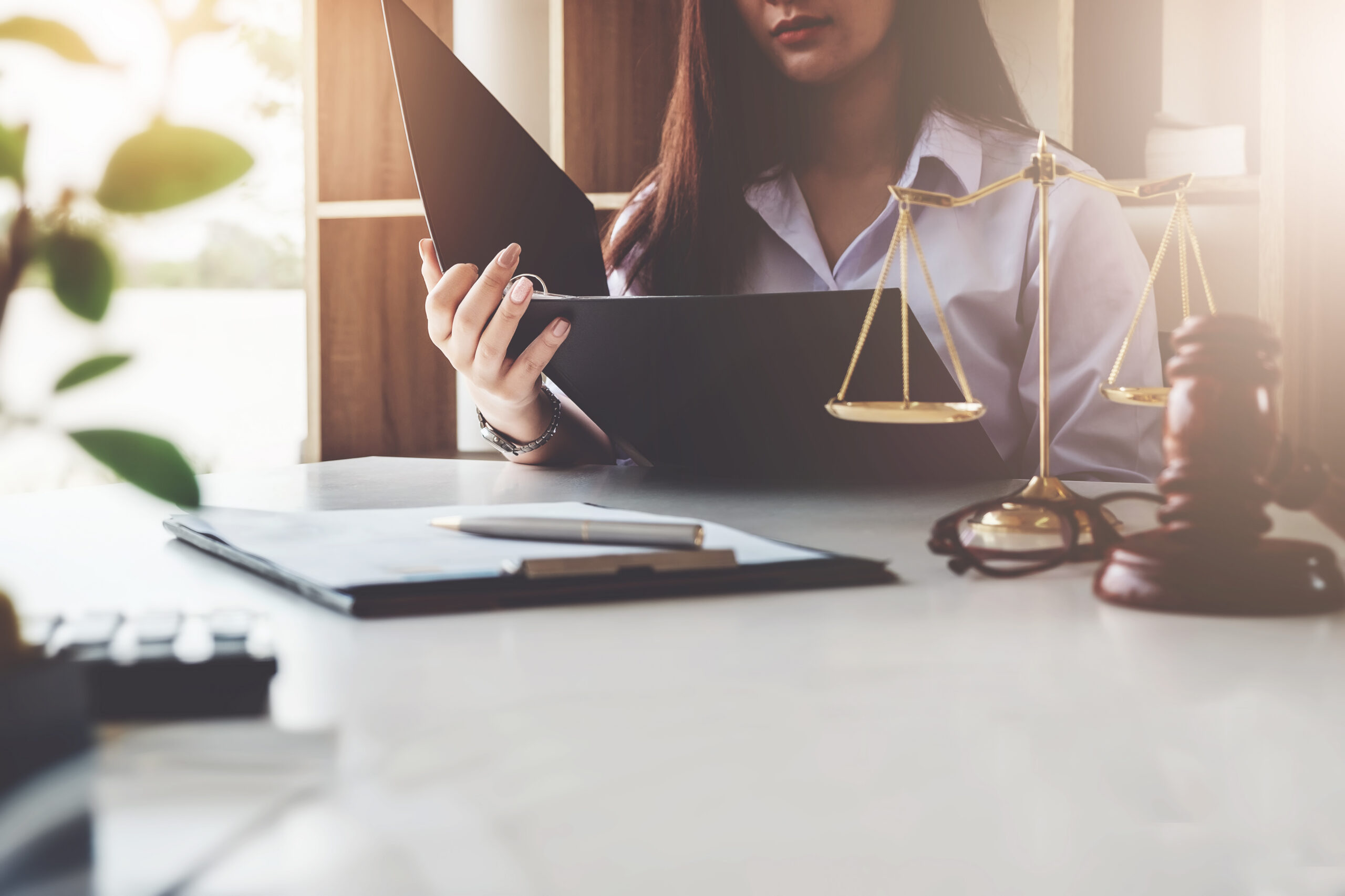 Nor Cal Defense Attorneys - Anna Tyner, JD
